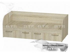 Кровать детская Сенди КР-01 (BTS) в Новом Тартасе - novyj-tartas.mebel-nsk.ru | фото