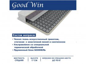 Матрас Good Win (Гуд Вин) в Новом Тартасе - novyj-tartas.mebel-nsk.ru | фото