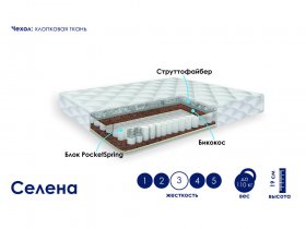 Матрас Селена (хлопок) в Новом Тартасе - novyj-tartas.mebel-nsk.ru | фото